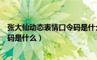 张大仙动态表情口令码是什么（王者荣耀张大仙表情包口令码是什么）