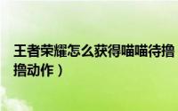 王者荣耀怎么获得喵喵待撸（王者荣耀怎么获得阿珂喵喵待撸动作）