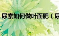 尿素如何做叶面肥（尿素当叶面肥使用方法）
