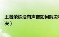 王者荣耀没有声音如何解决苹果（王者荣耀没有声音如何解决）
