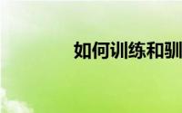 如何训练和驯养黄胸比目鱼