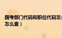 国考部门代码和职位代码怎么查（国考部门代码和职位代码怎么查）