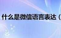什么是微信语言表达（什么是微信语音克隆）