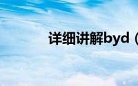 详细讲解byd（详细讲解在C）