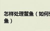 怎样处理鳖鱼（如何处理杀解剖大甲鱼鳖鱼水鱼）