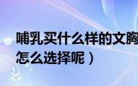 哺乳买什么样的文胸（哺乳文胸什么牌子好 怎么选择呢）