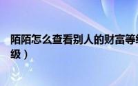 陌陌怎么查看别人的财富等级（陌陌怎么查看自己的财富等级）