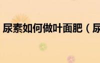 尿素如何做叶面肥（尿素当叶面肥使用方法）