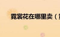 霓裳花在哪里卖（霓裳花在哪里采集）
