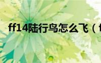 ff14陆行鸟怎么飞（ff14陆行鸟怎么获得）