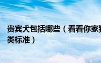 贵宾犬包括哪些（看看你家狗狗到底是哪一种——贵宾的分类标准）