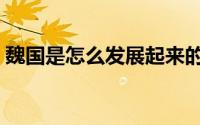 魏国是怎么发展起来的（魏国是怎么灭亡的）