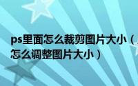 ps里面怎么裁剪图片大小（用Photoshop如何裁剪图片,ps怎么调整图片大小）