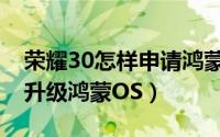 荣耀30怎样申请鸿蒙系统（荣耀30怎么申请升级鸿蒙OS）