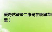 爱奇艺登录二维码在哪里苹果手机（爱奇艺登录二维码在哪里）