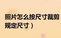 照片怎么按尺寸裁剪（将你如何将照片裁剪成规定尺寸）