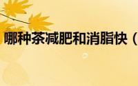 哪种茶减肥和消脂快（减肥和消脂快的茶叶）
