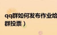qq群如何发布作业给所有人（QQ群如何发布群投票）