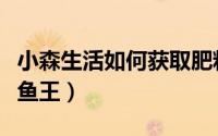 小森生活如何获取肥料（小森生活如何获取鲤鱼王）