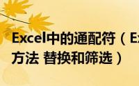 Excel中的通配符（Excel中通配符的两种使用方法 替换和筛选）