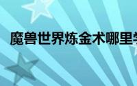 魔兽世界炼金术哪里学的防御药水最有效？