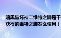 暗黑破坏神二维特之脚是干什么用的（暗黑2在崔斯特瑞姆获得的维特之脚怎么使用）