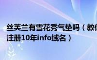 丝芙兰有雪花秀气垫吗（教你如何在Crazydomains16美元注册10年info域名）