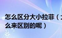 怎么区分大小拉菲（大小拉菲有什么不同是怎么来区别的呢）