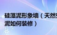 硅藻泥形象墙（天然空间墙体艺术馆教您硅藻泥如何装修）