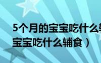 5个月的宝宝吃什么辅食注意事项（5个月的宝宝吃什么辅食）