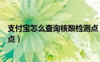 支付宝怎么查询核酸检测点（支付宝如何查询附近核酸检测点）
