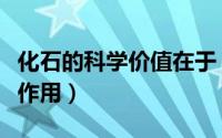 化石的科学价值在于（化石对科学研究有什么作用）