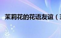 茉莉花的花语友谊（茉莉花的花语有哪些）