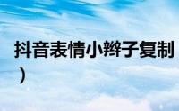 抖音表情小辫子复制（抖音表情小辫子怎么弄）