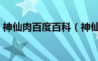 神仙肉百度百科（神仙肉是什么肉怎么做的）
