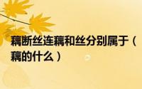 藕断丝连藕和丝分别属于（“藕断丝连”中的“丝”指的是藕的什么）