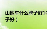 山地车什么牌子好1000左右（山地车什么牌子好）