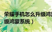 荣耀手机怎么升级鸿蒙步骤（荣耀手机怎么升级鸿蒙系统）