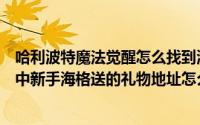 哈利波特魔法觉醒怎么找到海格的礼物（哈利波特魔法觉醒中新手海格送的礼物地址怎么找）