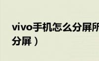 vivo手机怎么分屏所有应用（vivo手机怎么分屏）