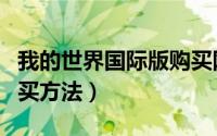 我的世界国际版购买网址（我的世界国际版购买方法）