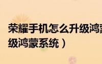 荣耀手机怎么升级鸿蒙步骤（荣耀手机怎么升级鸿蒙系统）