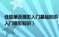 佳能单反摄影入门基础知识（佳能单反相机的拍摄技巧初级入门摄影知识）