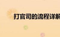打官司的流程详解（打官司的流程）
