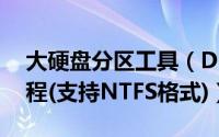 大硬盘分区工具（DM10.0 硬盘分区图解教程(支持NTFS格式)）