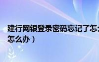 建行网银登录密码忘记了怎么办（建行网银登录密码忘记了怎么办）