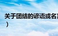关于团结的谚语或名言（关于团结的谚语大全）