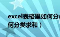 excel表格里如何分类汇总（Excel表格里如何分类求和）