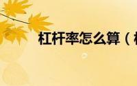 杠杆率怎么算（杠杆率怎么计算）