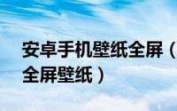 安卓手机壁纸全屏（Android轻松完美设置全屏壁纸）